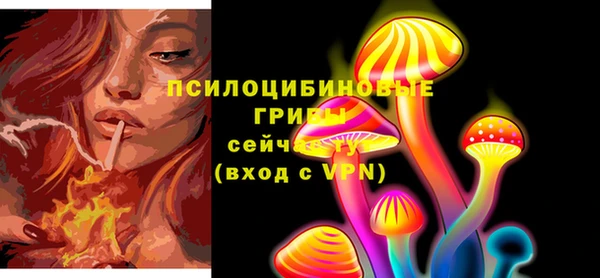 мяу мяу мука Нея
