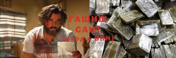 хмурый Бикин
