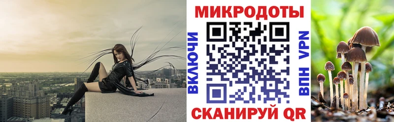 сколько стоит  Гусиноозёрск  Галлюциногенные грибы Psilocybe 